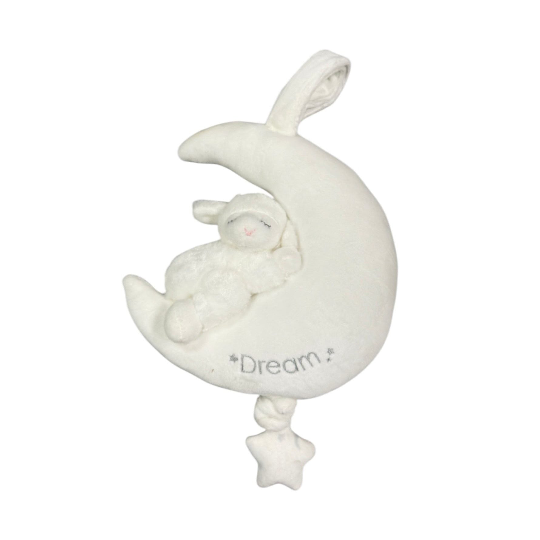 Winky Lamb Musical 9"