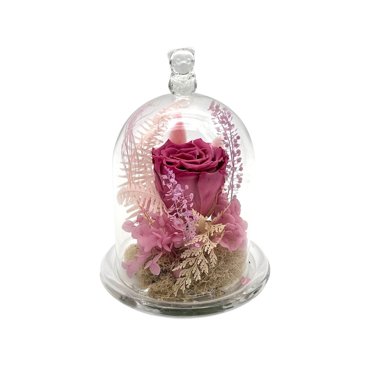Placid (Eternal Flower)
