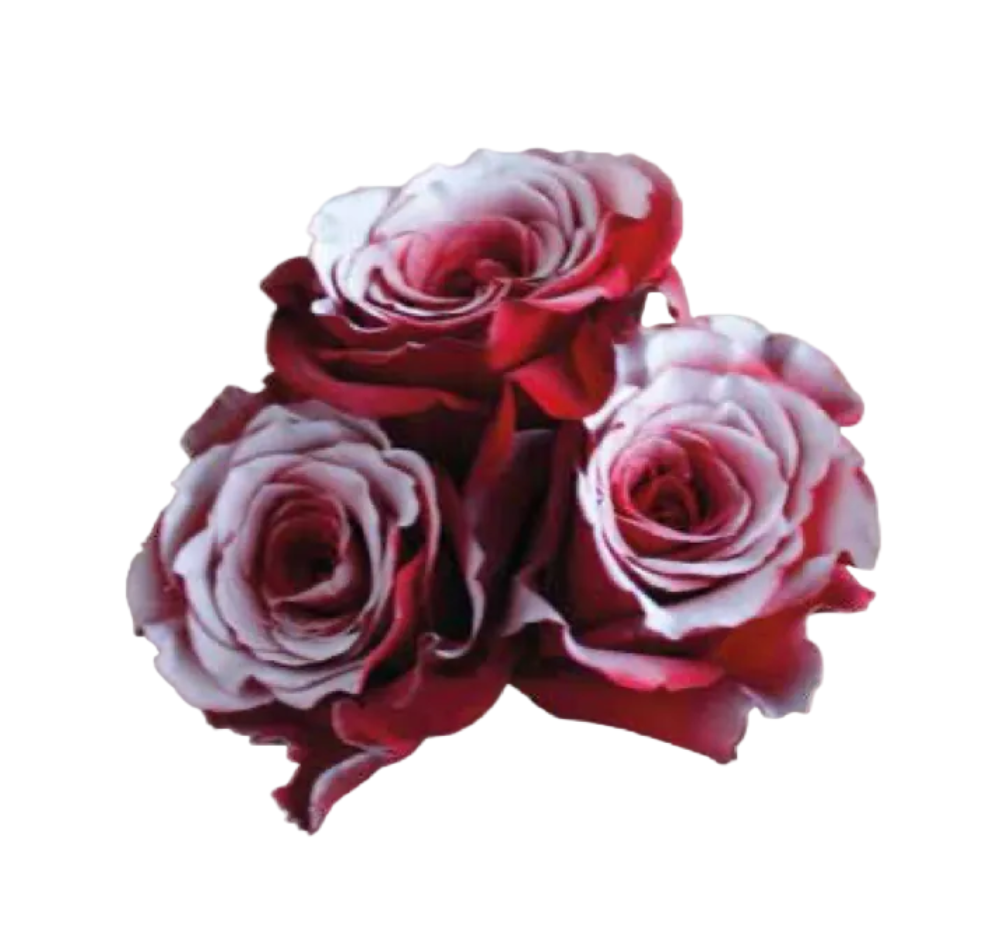 Send my love (A dozen of roses)