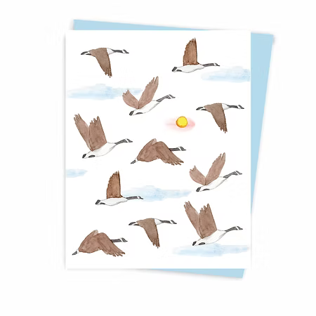 Geese