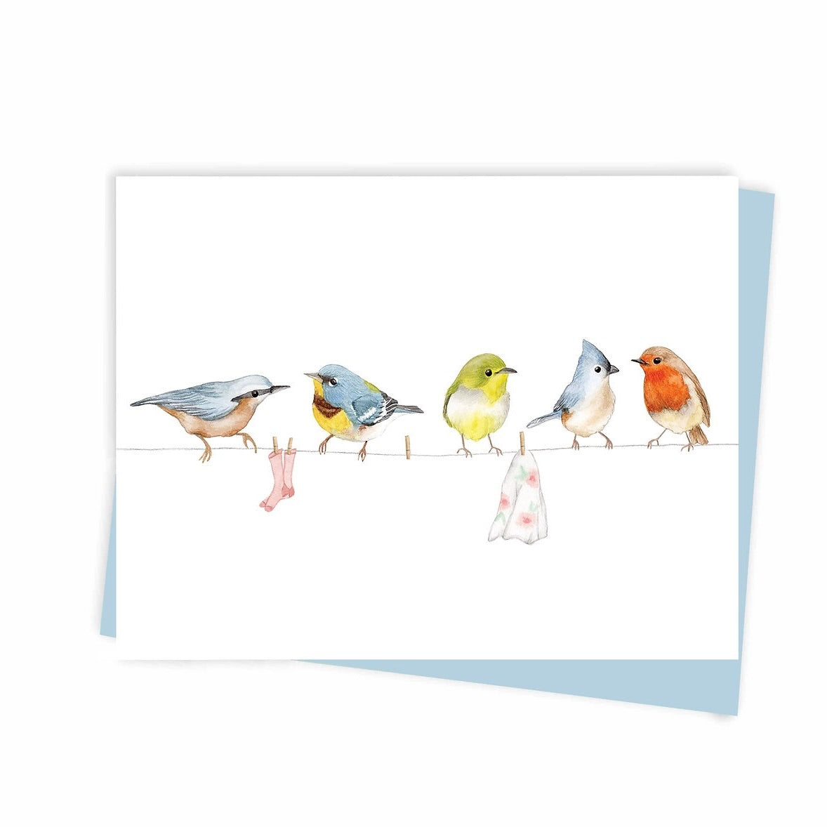 Birds on the clothesline