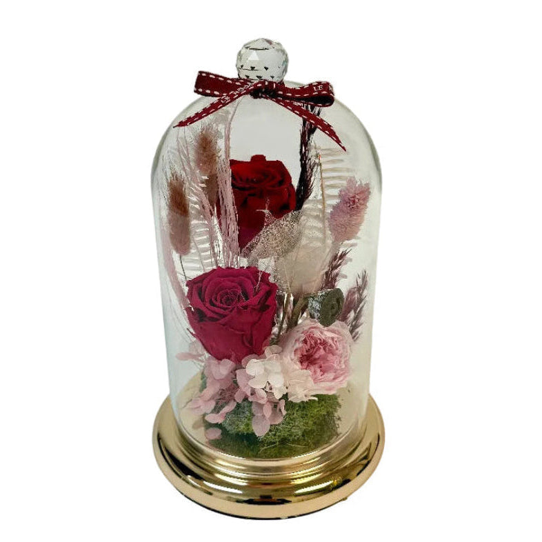 Palmer (Eternal Flower)