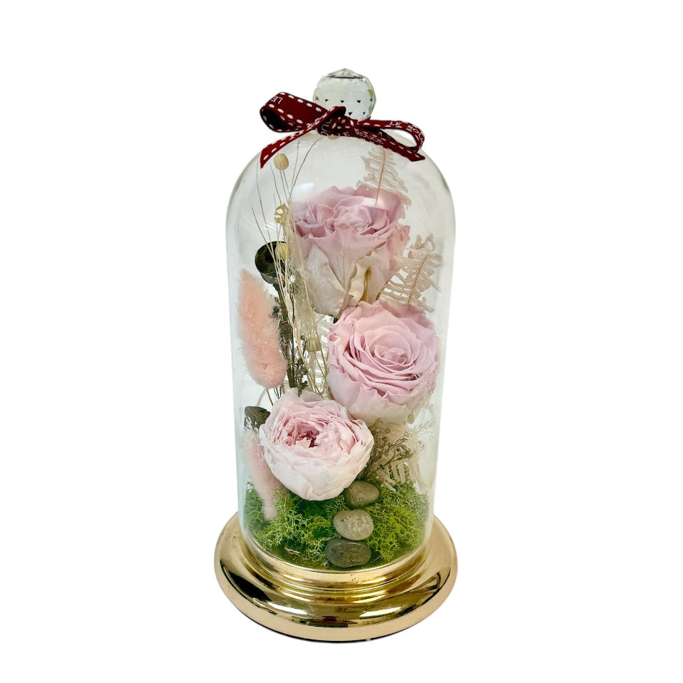 Paula (Eternal Flower)