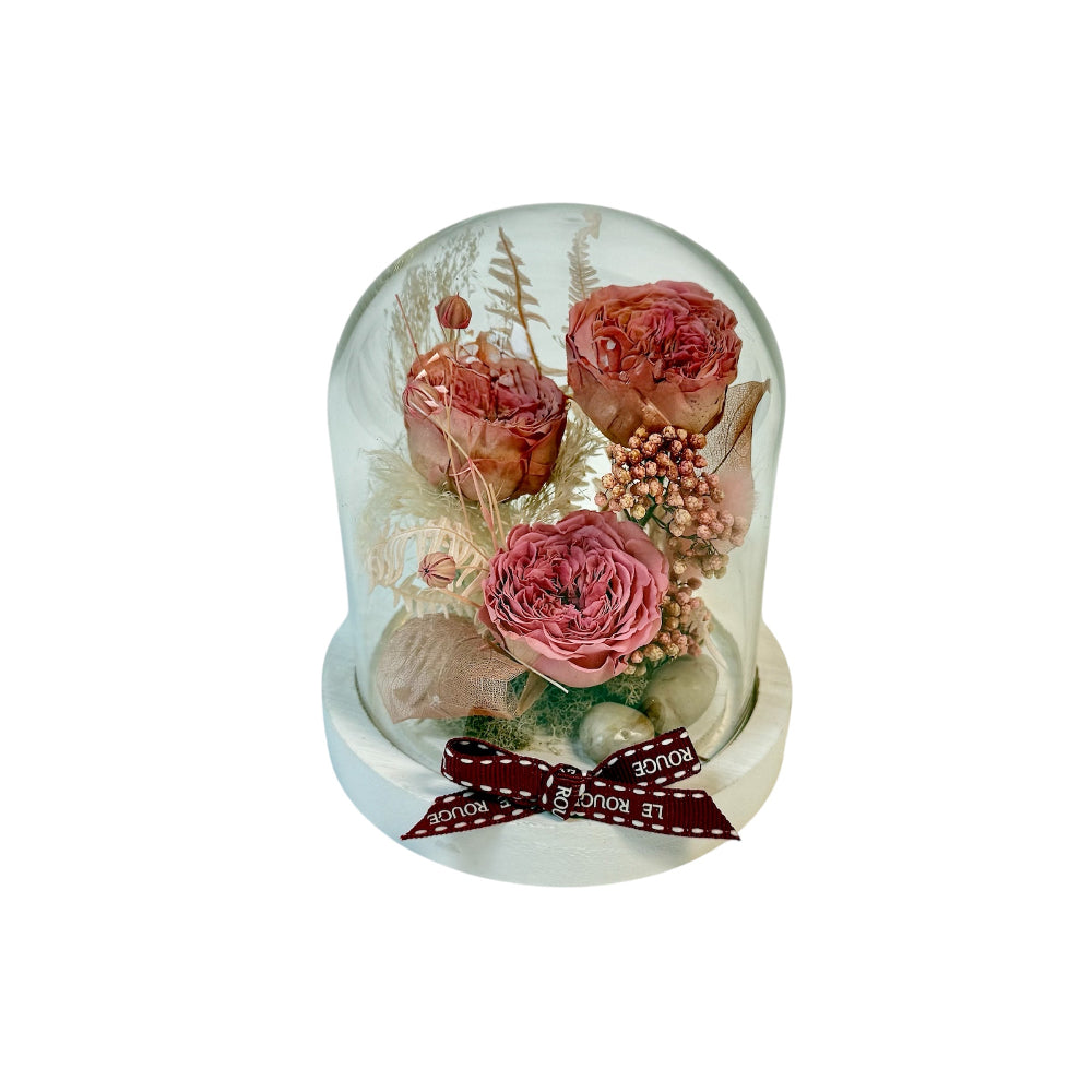 Paulina (Eternal Flower)