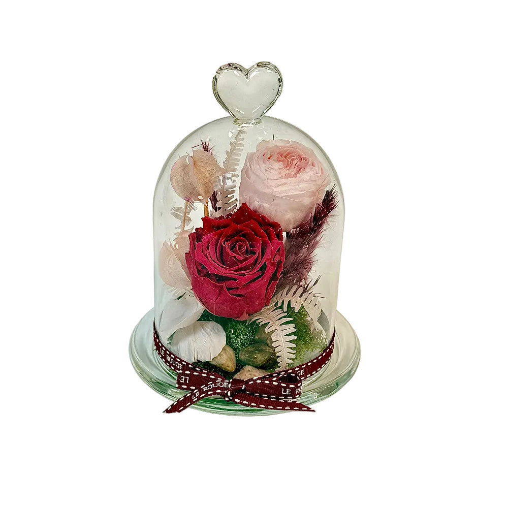 Penelope (Eternal Flower)