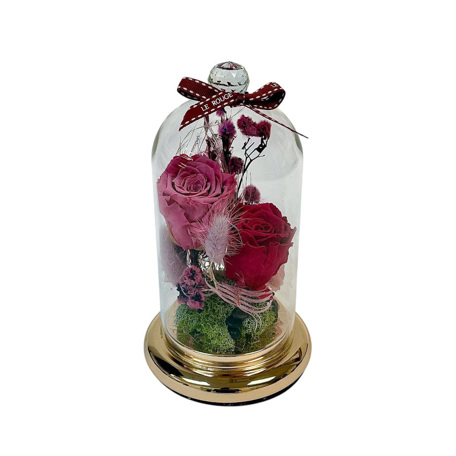 Phoenix (Eternel Flower)