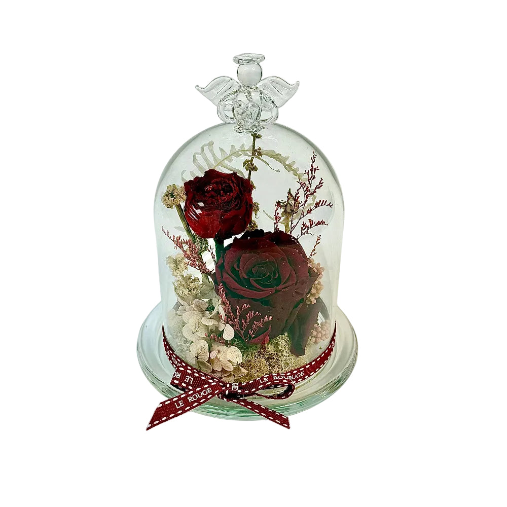 Priscilla (Eternal Flower)