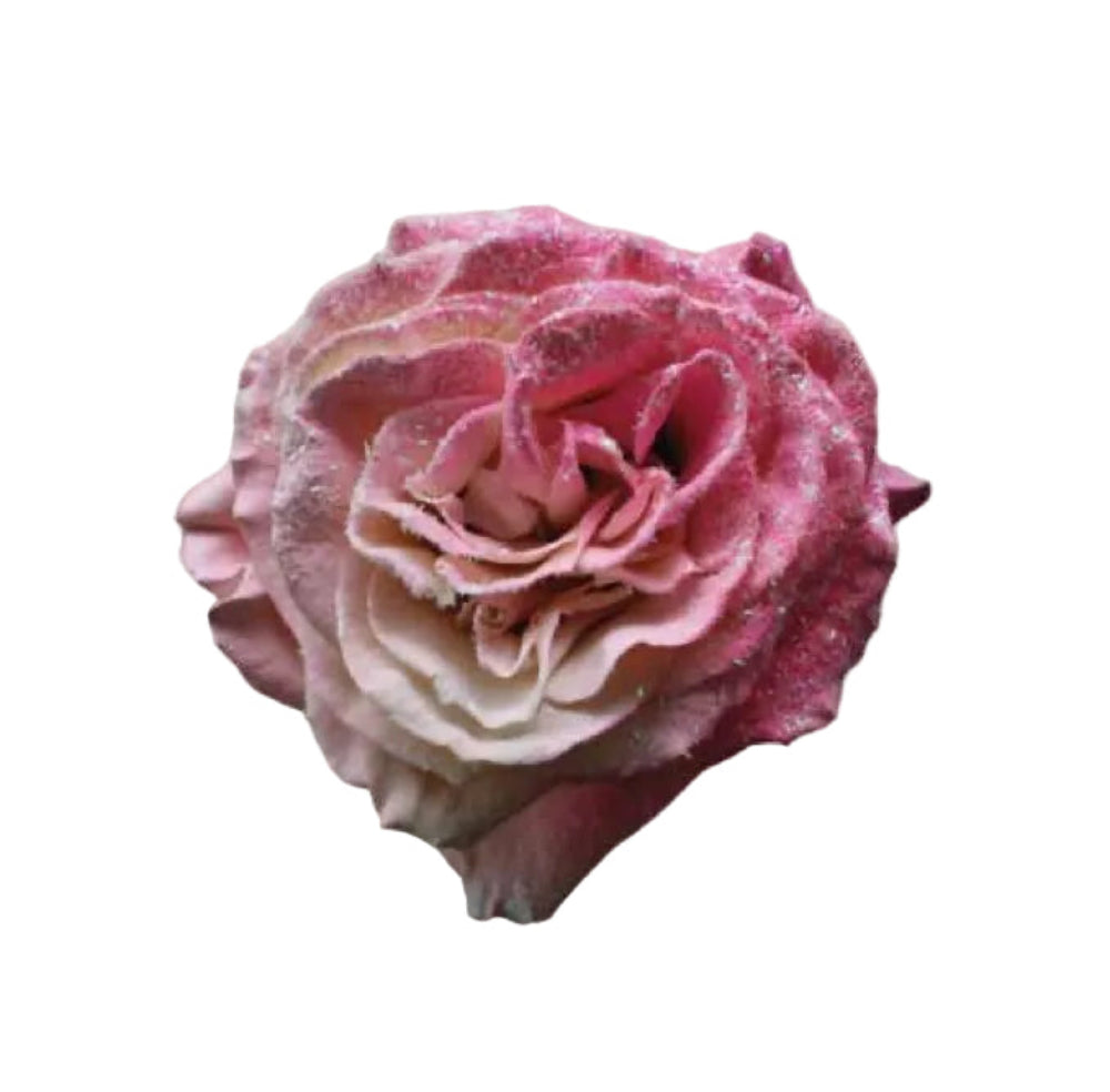 Someone like you (A dozen of roses)